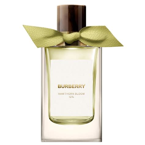 nước hoa burberry|hoa burberry chính hãng.